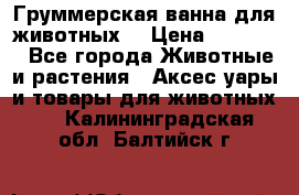 Груммерская ванна для животных. › Цена ­ 25 000 - Все города Животные и растения » Аксесcуары и товары для животных   . Калининградская обл.,Балтийск г.